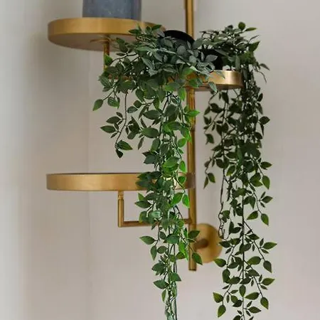 Appartamento Coeur De : 30m² Douillet Avec Lit Queen Size